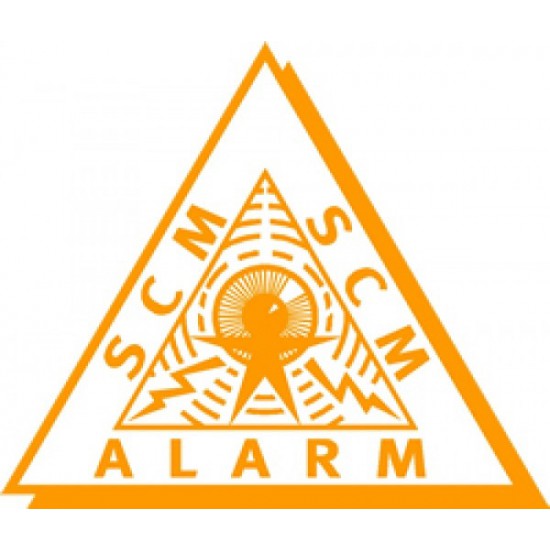 Alarmsysteem met autorisatie (voorheen Klasse 2) Alarmsysteem met autorisatie (voorheen Klasse 2)